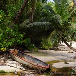 Une pirogue abandonnée repose sur le sable, sous des palmiers