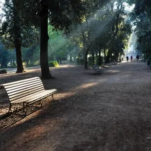 Un banc est illuminé par un rayon de soleil dans une allée d'un parc urbain