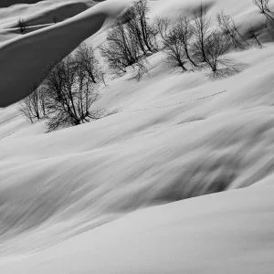 La neige balayée par le vent ressemble à un écoulement d'eau, les collines sont parsemées d'arbustes