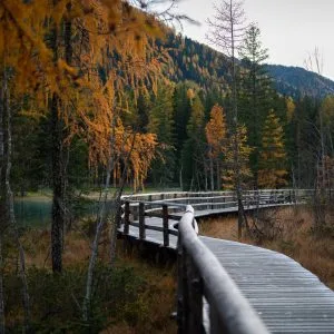 photo-d-art-automne